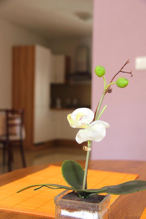 Vila Dravce Room photo